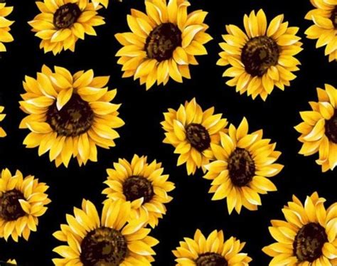 Black Sunflower Pattern Ubicaciondepersonascdmxgobmx