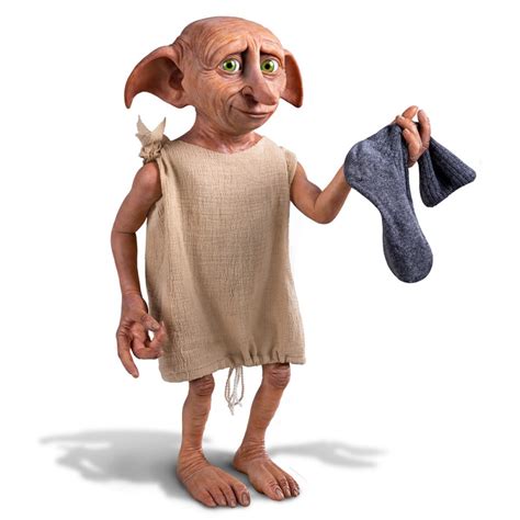Dobby The House Elf Box Set Harry Potter Rosewoodgardensng