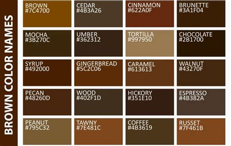 Brown Eye Color And Its Best Things To Know Brown Color Palette