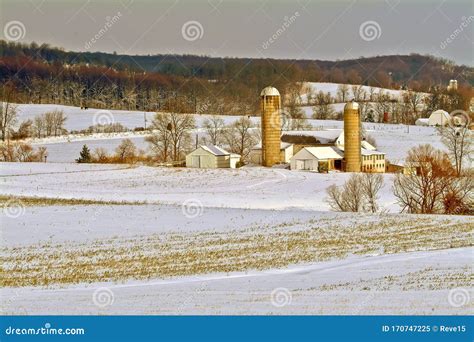Winter Farm Scene Of Roling Hills And Farm Building Stock Image Image