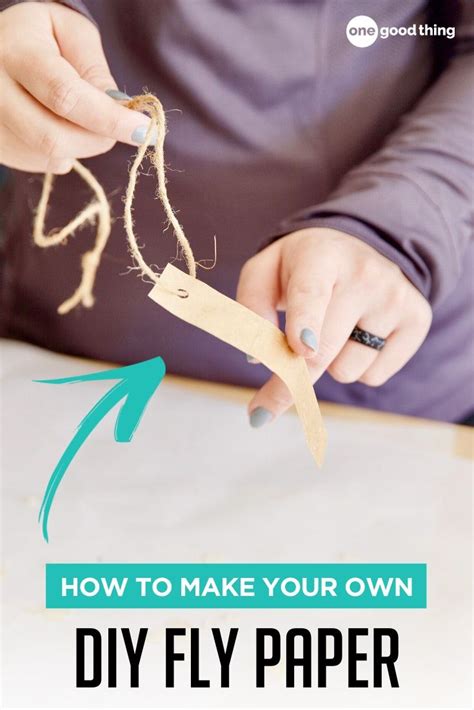 How To Make Your Own Diy Fly Paper In 2020 Fun To Be One Fly Paper