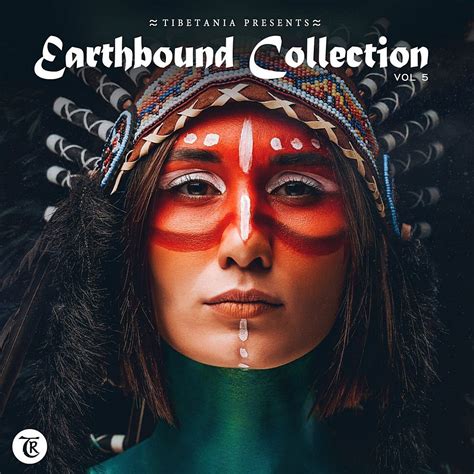 Earthbound Collection Vol Musiceffect Ru Electronic Music