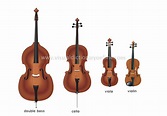 ARTS & ARCHITECTURE :: MUSIC :: STRINGED INSTRUMENTS :: VIOLIN FAMILY ...