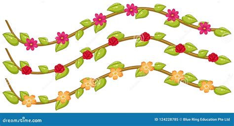 Set Of Flower Vines Stock Vector Illustration Of Plant 124228785
