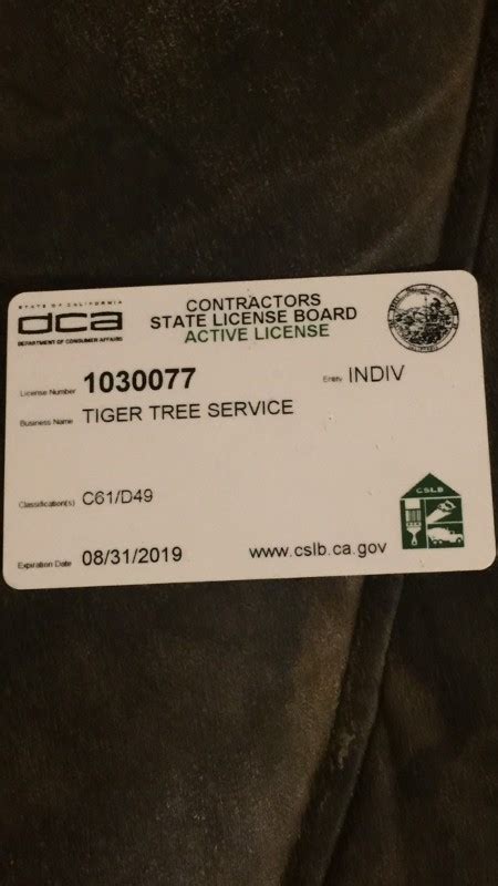 About Tiger Tree Service