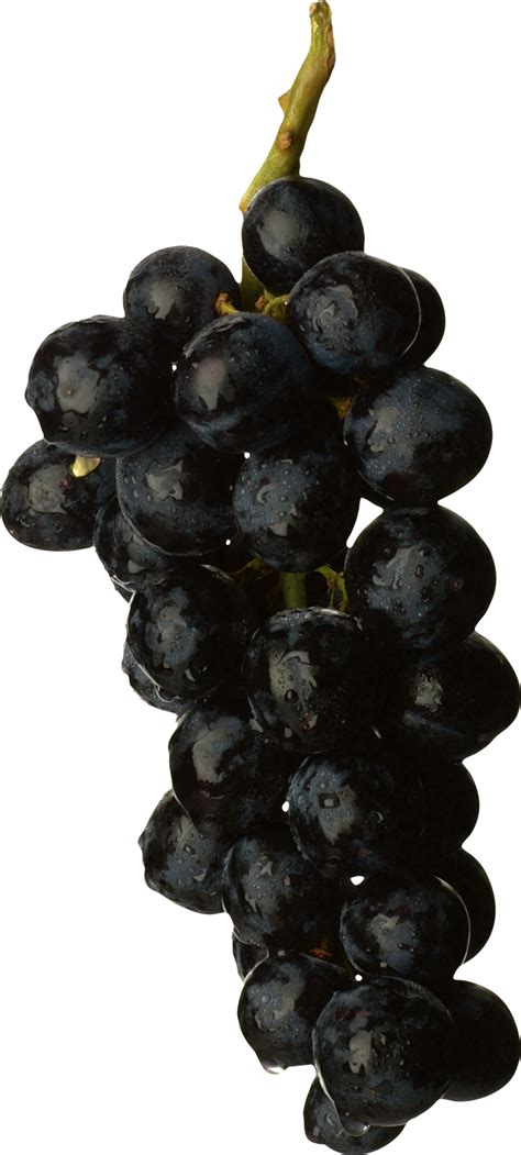Black Grapes Png Image Purepng Free Transparent Cc0 Png Image Library