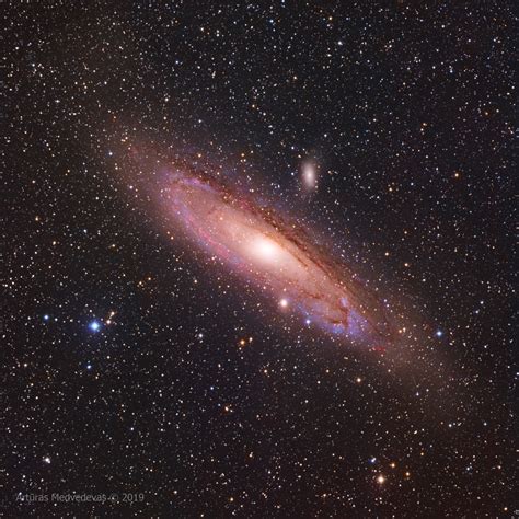 Andromeda Astrophotography
