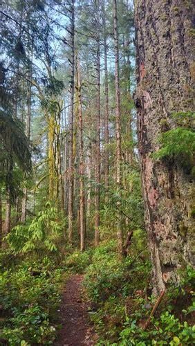 Best Hikes And Trails In Stamp River Provincial Park Alltrails