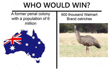 Here is a sentence that is at once absurd yet unsurprising: The Great Emu War - The Medieval Times