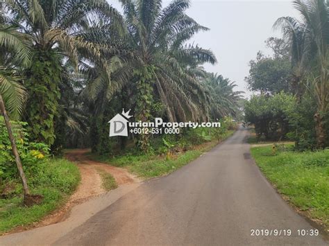 400 kanal beautiful location agricultural land for sale in kachi kothi on pampha road. Agriculture Land For Sale at Slim River, Perak for RM ...