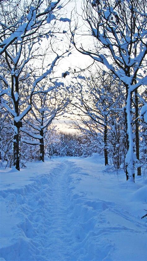 Unduh 61 Iphone Wallpaper Winter Landscape Foto Gratis Postsid
