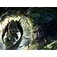 Fantasy Art Dragon Monster Battle Wallpapers HD / Desktop And 
