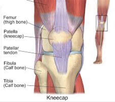 Exercises For Treating Knee Pain CORE Omaha Explains C O R E Physical Therapy And Sports