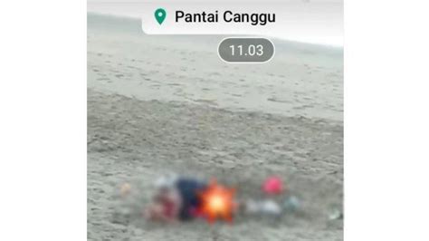 Viral Video Bule Tak Senonoh Di Bali Bendesa Adat Canggu Bantah Lokasi Video Di Pantai Canggu