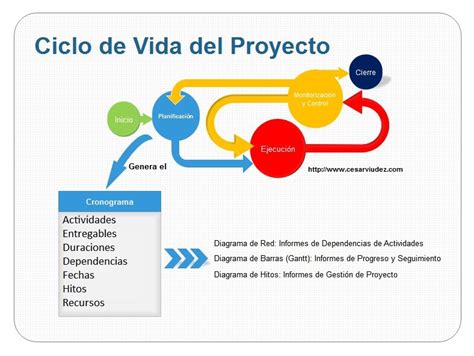 Ciclo De Vida Del Proyecto Images