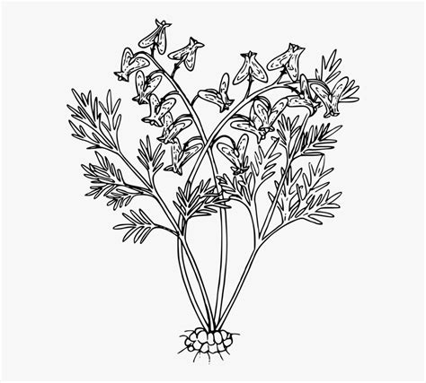 Check out our plant line drawing selection for the very best in unique or custom, handmade pieces from our prints shops. Plant Drawing Png & Free Plant Drawing.png Transparent ...