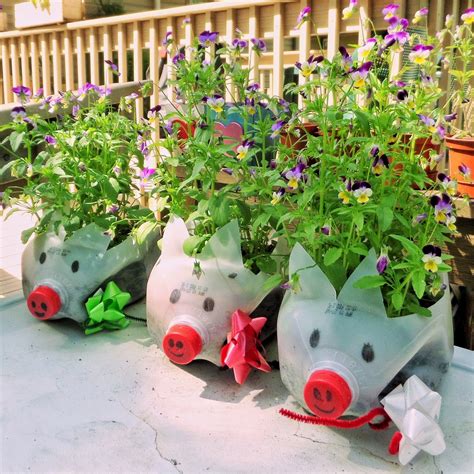 Piggy Garden Recycle Reuse Milk Jugs Planter Pots Recycled Garden