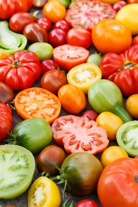 The Gardenzeus Guide To Tomato Varieties For California Zone 12