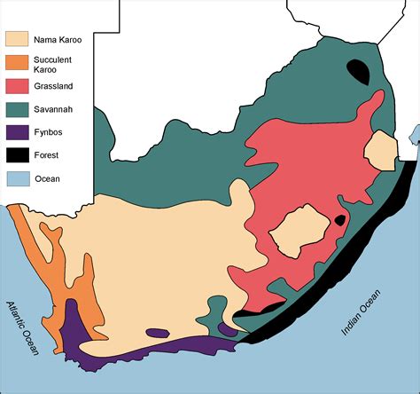 It is surrounded by large areas of water. Vegetation regions of south africa By OpenStax | Jobilize