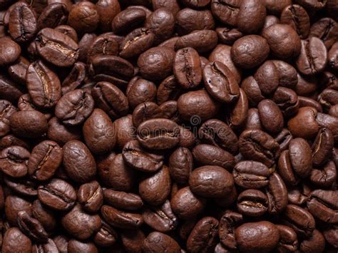 Seamless Closeup Of Roasted Coffee Beans Stock Image Image Of