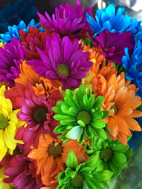Colorful Daisies Beautiful Flowers Beautiful Bouquet Of Flowers