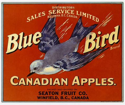 20 Vintage Apple Crate Labels From The Pacific North West Puppies And