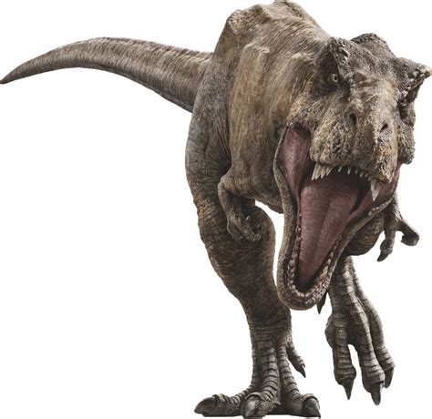 Tyrannosaurus Rexgallery Jurassic Park Wiki Fandom Jurassic