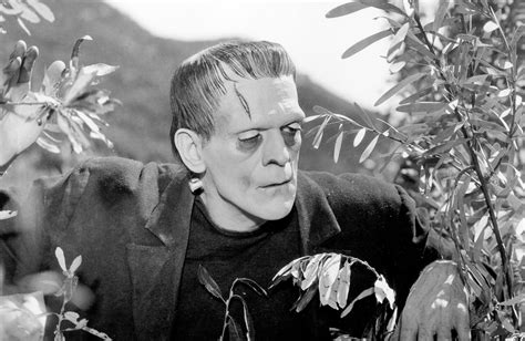 Guillermo Del Toros Frankenstein Adds Christoph Waltz To Its Cast