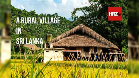 Beautiful Rural Village In Sri Lanka Village Life In Sri Lanka 2021