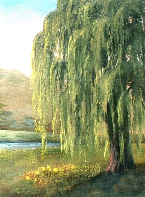 Pin By Debra Callaway On Love It Willow Tree Art Tree Painting
