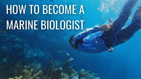 How To Become A Marine Biologist Step By Step Marine Biology