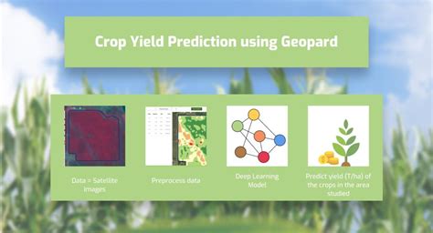 Crop Yield Prediction In Agriculture 📈