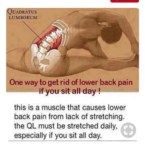 Pin On Back Pain