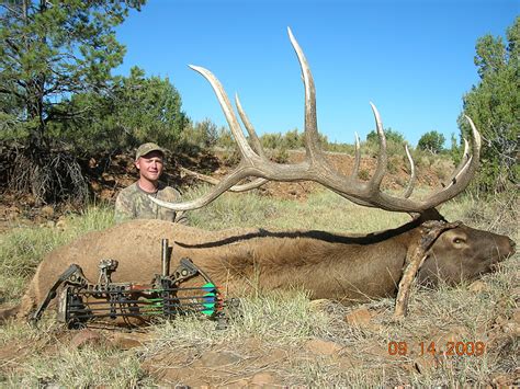 Colburn And Scott Outfitters Arizona Archery Elk Unit 10 Dustin Kuhns