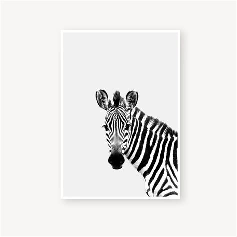 Zebra Print Zebra Prints Zebra Printable Art Zebra Etsy