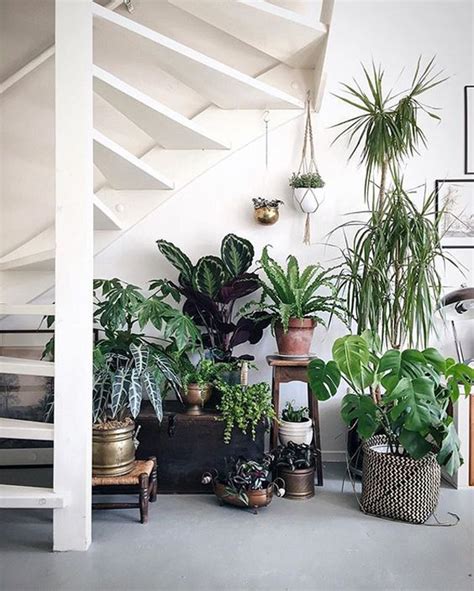 10 Ways To Add Botanical Trends For Minimalist Stairs Homemydesign