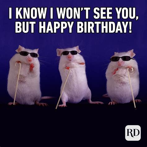 Funny Happy Birthday Images For Her Birthday Greetings