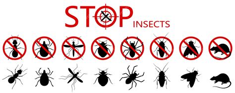 Premium Vector Anti Pest Control Ban Prohibition Parasitic Insects