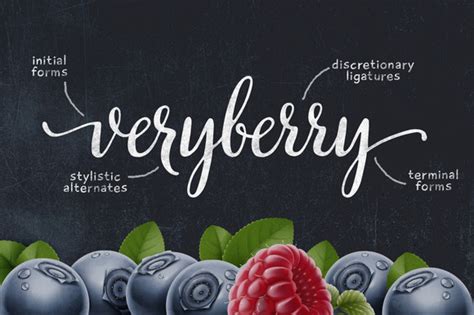 40 Fancy Cursive Fonts To Add To Your Collection Creative Market Blog
