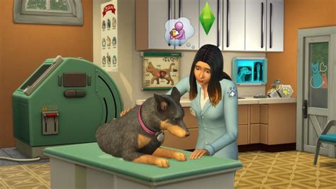 Sims 4 Mein Erstes Haustier Accessoires Dlc Mmoga