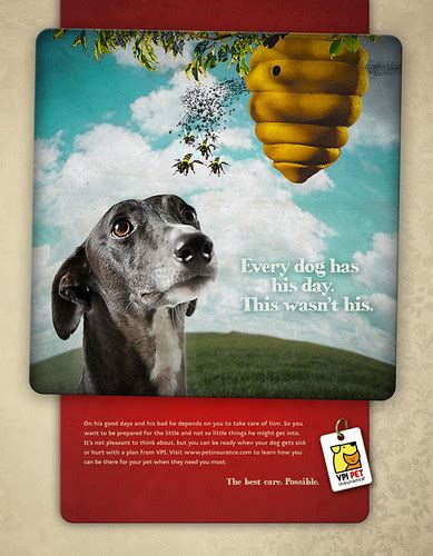 We did not find results for: Veterinary Pet Insurance Print Ad | Headline: Every dog has … | Flickr