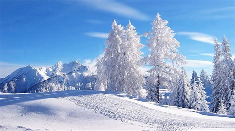 Winter Himmel Schnee Baum Gebirge Raureif Frost Einfrieren