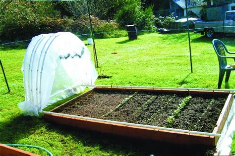 Farm Show Magazine Greenhouse Gardening Raised Garden Garden Greenhouse