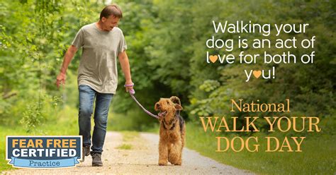 Start studying fear free module 2. National Walk Your Dog Day | Fear Free Pets