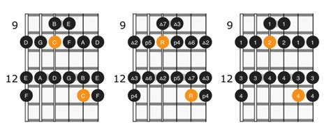 C Major Scale On Guitar Positions And Theory