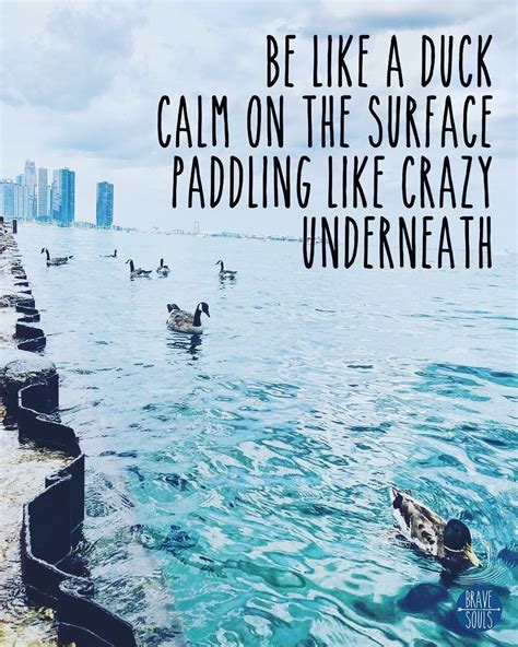 Brave Souls Travel On Instagram “just Keep Swimming Perseverance Motivation Determination