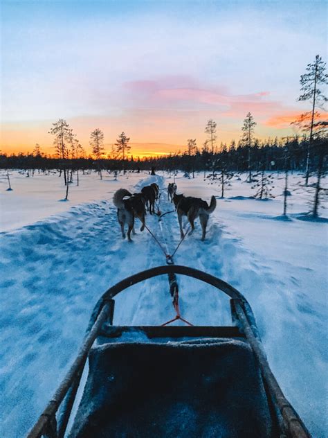 The Best Husky Sledding Safaris And Tours In Finland Lapland