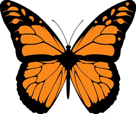 Monarch Butterfly Clipart Png Full Hd Butterfly Insect Clipart Images