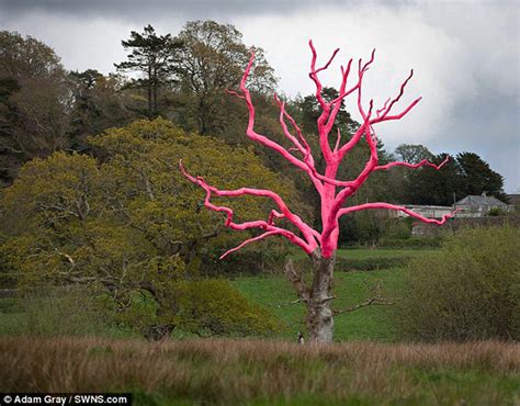 Trees Painted Colors Transformed Improvised Life
