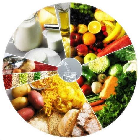 14 dicas para uma alimentação saudável equilibrada e saborosa Roda